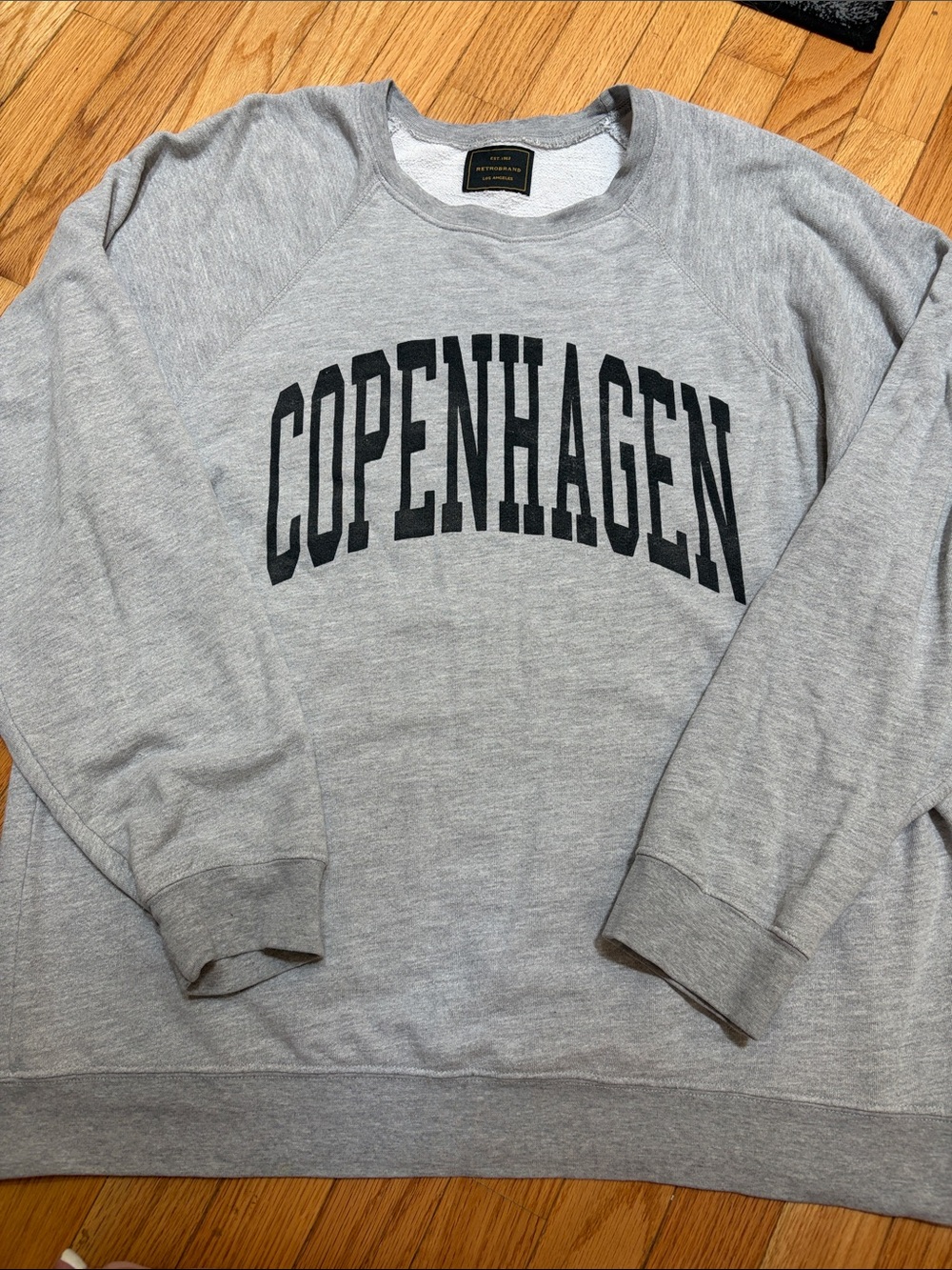 Free People Grey Copenhagen Crewneck Sweatshirt - Retrobrand